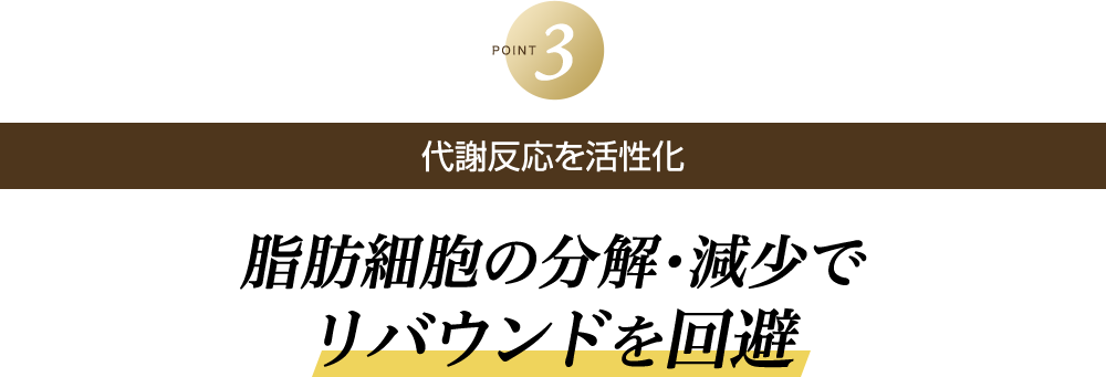 代謝反応を活性化脂肪細胞の分解・減少でリバウンドを回避