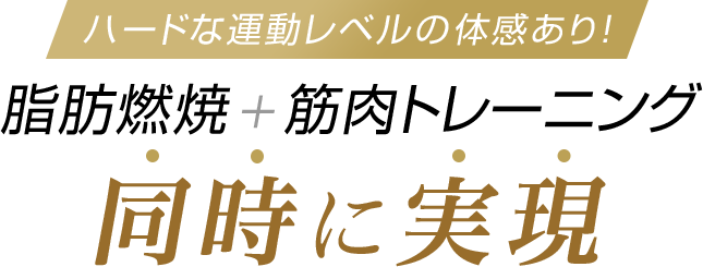 ハードな運動レベルの体感あり!脂肪燃焼+筋肉トレーニング同時に実現